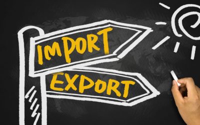 Rejestracja BDO a import — jakie są obowiązki importera?